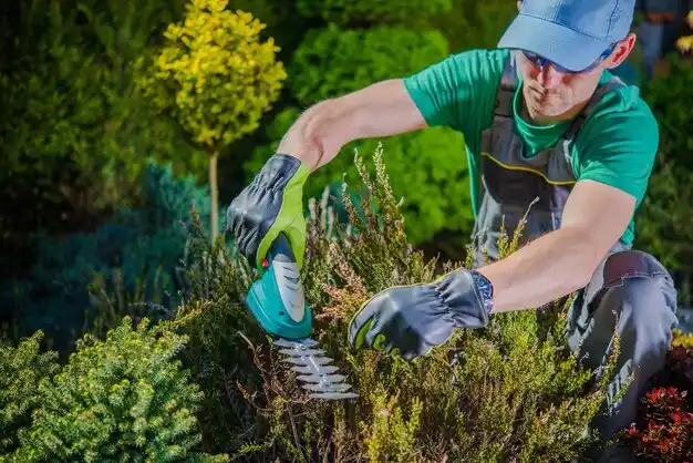 landscaping services Lafourche Crossing